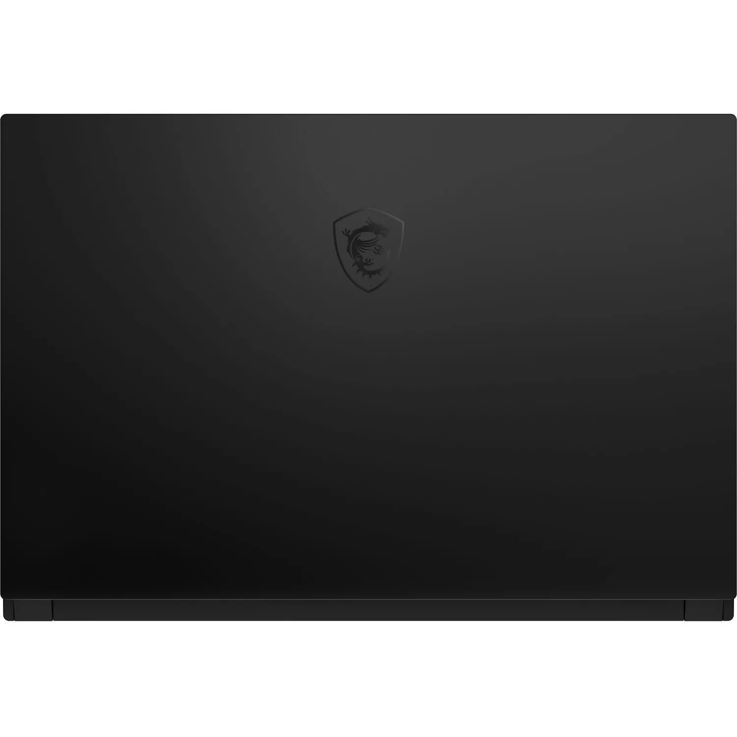 MSI GS66 Stealth 10SFS (GS66 10SFS-440US)