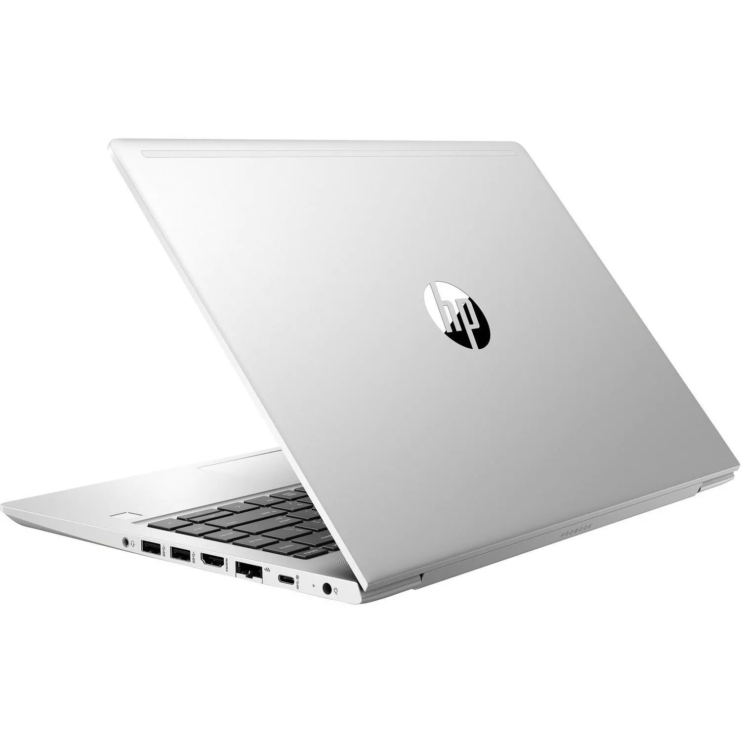 HP ProBook 455 G6 (455G6 9CB52ES)