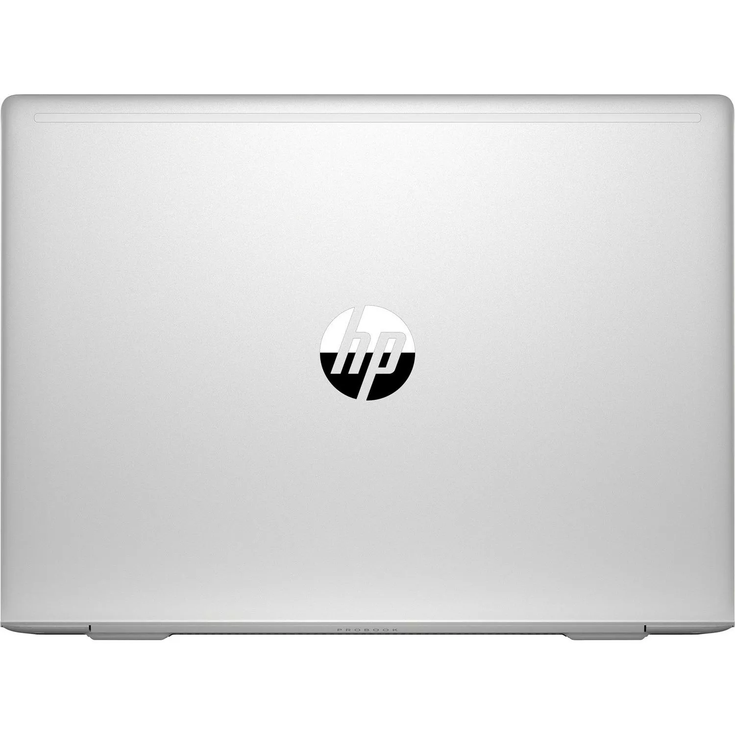 HP ProBook 455 G6 (455G6 9CB52ES)