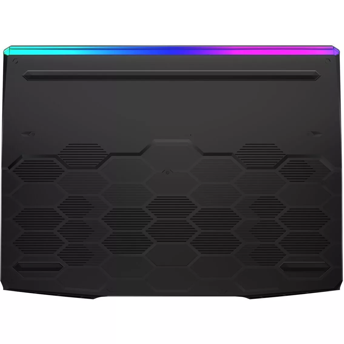 MSI GE66 Raider 10SFS (GE66 10SFS-029RU)