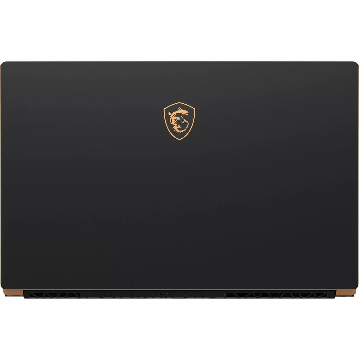 MSI GS75 Stealth 10SFS (GS75 10SFS-829UA)