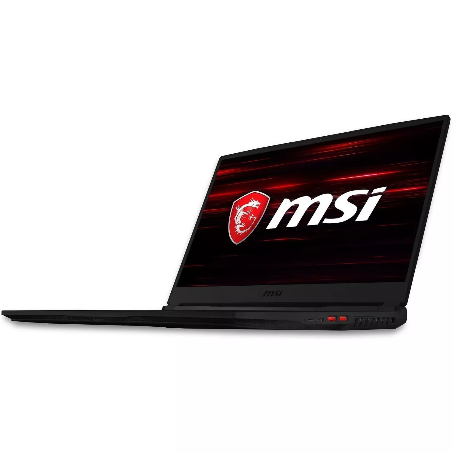 MSI GE75 Raider 10SE (GE75 10SE-008US)