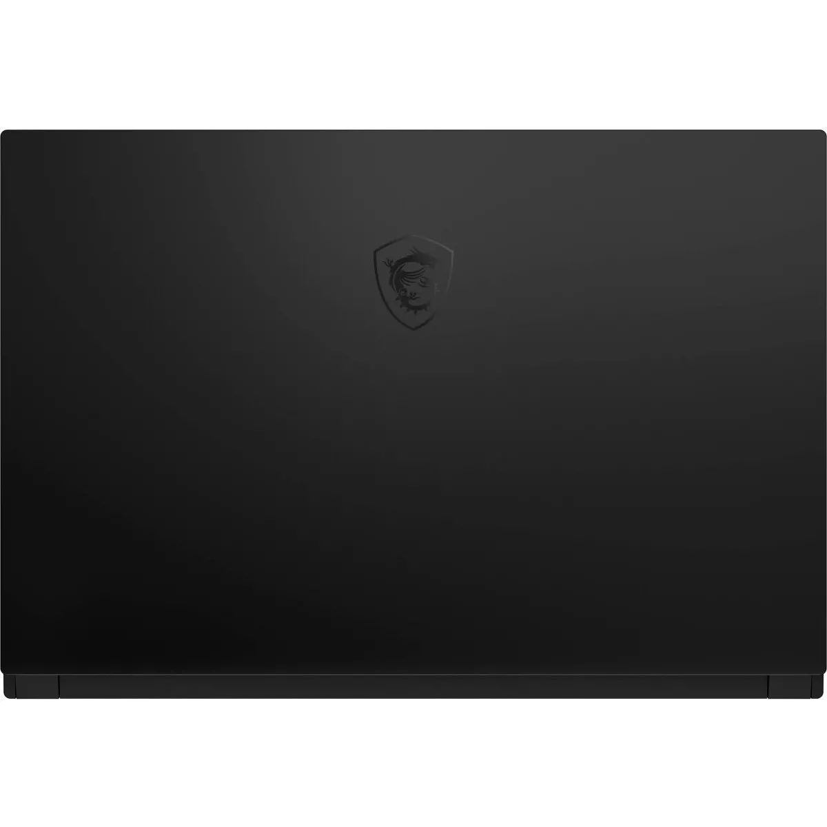MSI GS66 Stealth 10UH (GS66 10UH-420RU)
