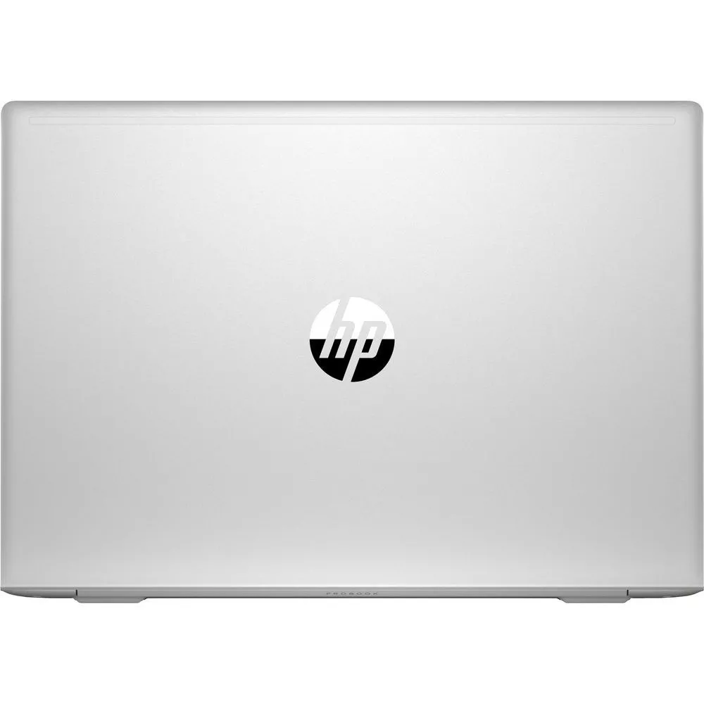 HP ProBook 450 G6 (450G6 4SZ45AV)