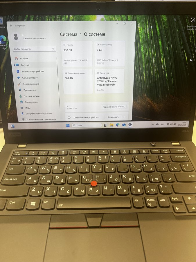 Lenovo ThinkPad X395 (X395 20NL000KRT)