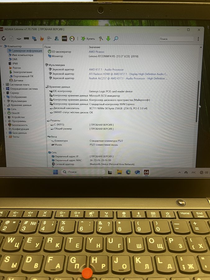 Lenovo ThinkPad X395 (X395 20NL000KRT)