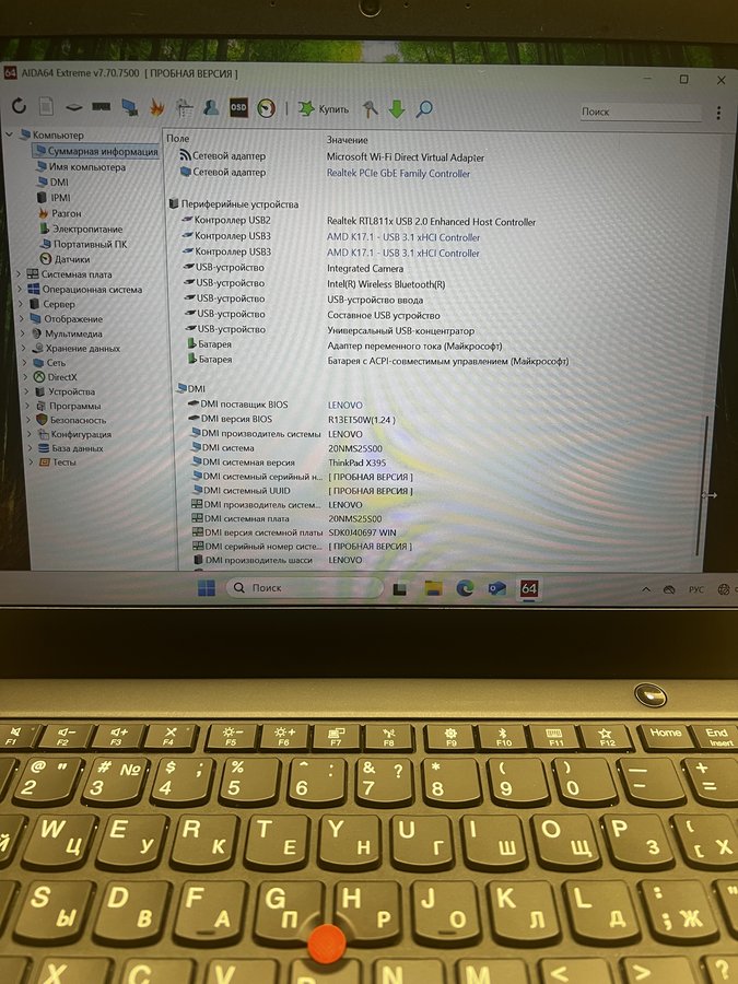 Lenovo ThinkPad X395 (X395 20NL000KRT)